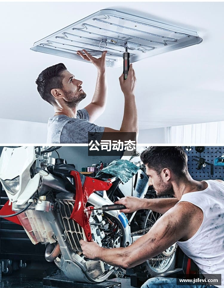 公司动态